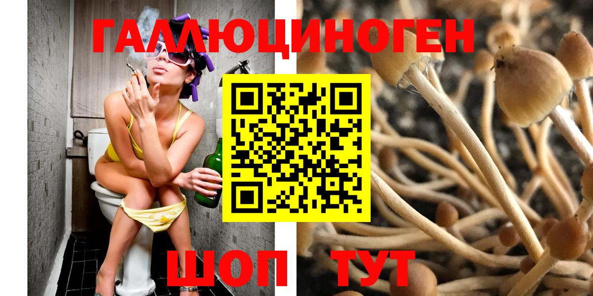 Нерюнгри  Галлюциногенные грибы прущие грибы  Вход с VPN 