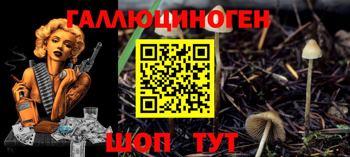 Галлюциногенные грибы мухоморы Нерюнгри